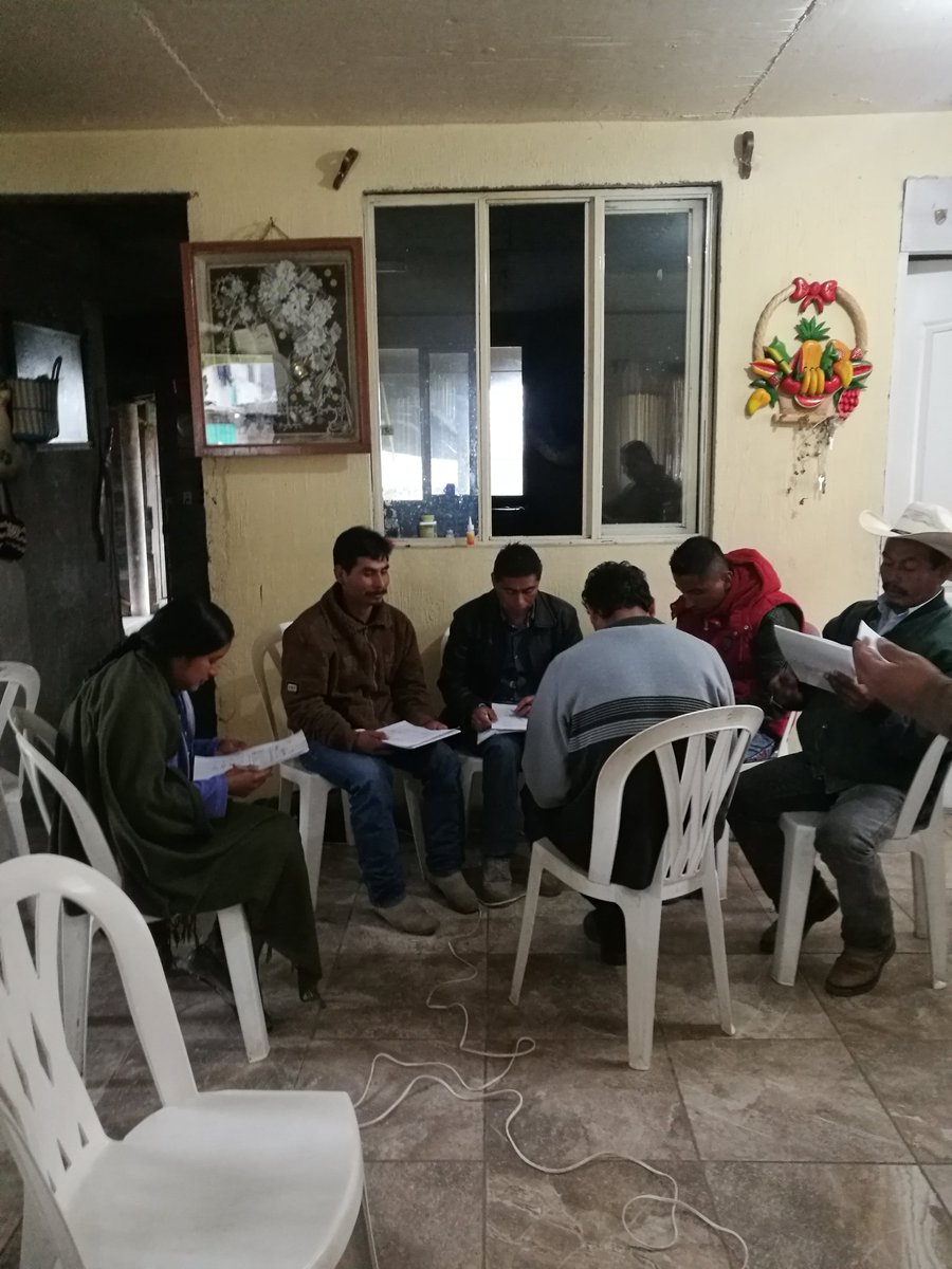 ROSACER14329571's tweet photo. Proceso de Alineacion con fines de Certificacion en base al EC0272 Cosecha de Café, Chiconcuautla, Puebla. https://t.co/TK0G0yBcli