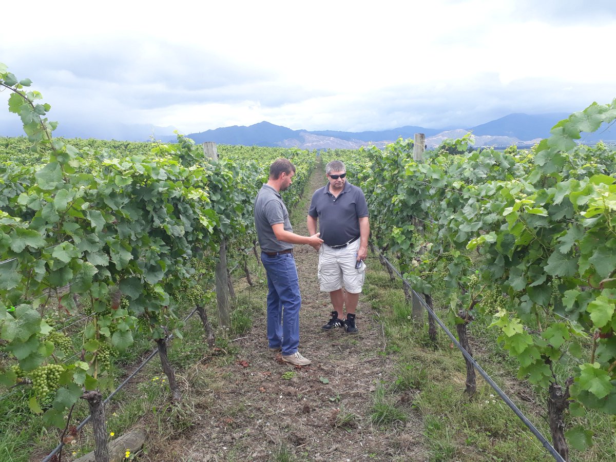 Clos Henri Vineyard tweet media