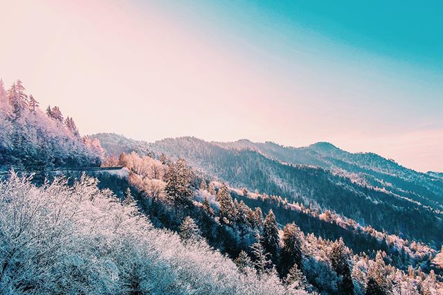 madeinknox's tweet photo. Winter Wonderland ❄️
•
I’m back guys!!!! I’ve really missed posting my photos, I have just been so busy with everything lately. I am very excited to start posting more frequently again! https://t.co/DrNi53zPkO https://t.co/pL6PUVDUqQ