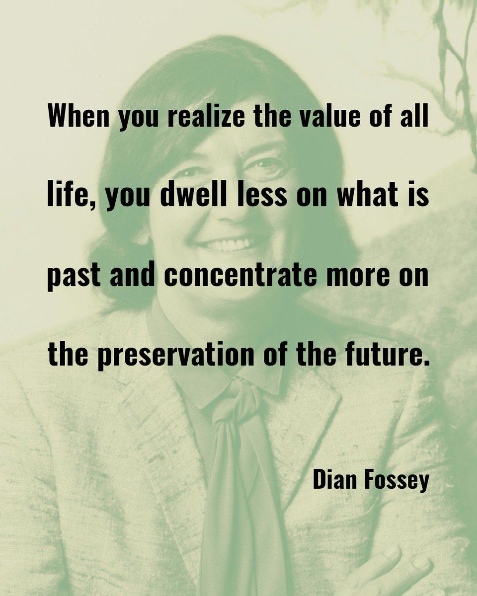 unprescience's tweet photo. Dian Fossey an American #primatologist and #conservative .
#unpredictablescience https://t.co/lnTuEC6iXf
