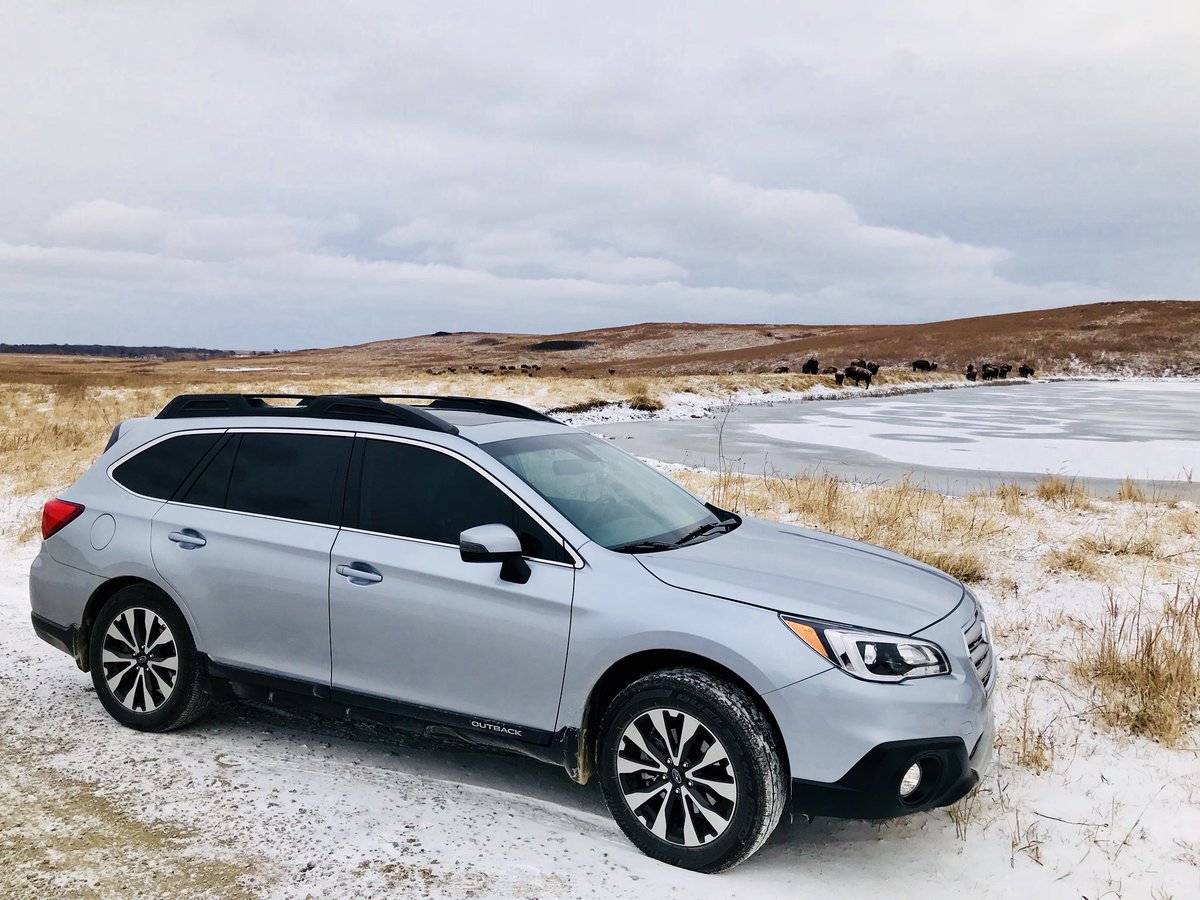 OKChaser1's tweet photo. The perfect vehicle for all our video, and photography needs. Today it was Bison at Tall Grass Prairie. @subaru_usa make me an ambassador Oklahomacity #2017Outback #Subaru #Bison #videographer #natureconservancy https://t.co/dQqwr0Z9bw
