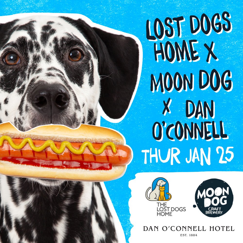 catfishfitzroy's tweet photo. Our sister venue @danochotel and @moondogbrewing are teaming up to raise some funds for @LostDogsHome! Thursday 25th Jan at The Dan! Drink beer and save some furry friends #thedan #thecatfish #moondog #beersforpups https://t.co/C9snNvNlFr