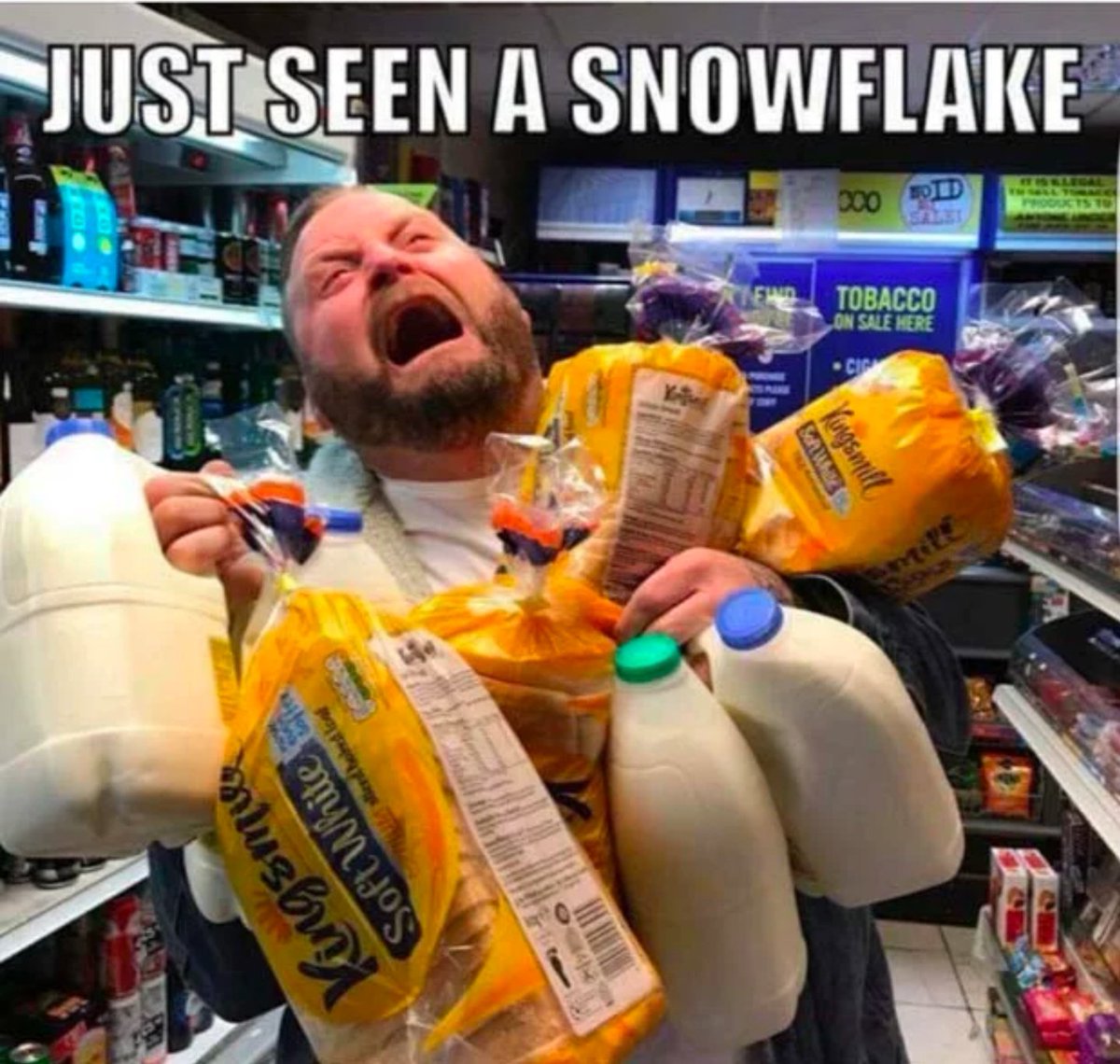 ShesLikeTexas15's tweet image. Houston right now 
#houwx #snowday #HoustonWeather