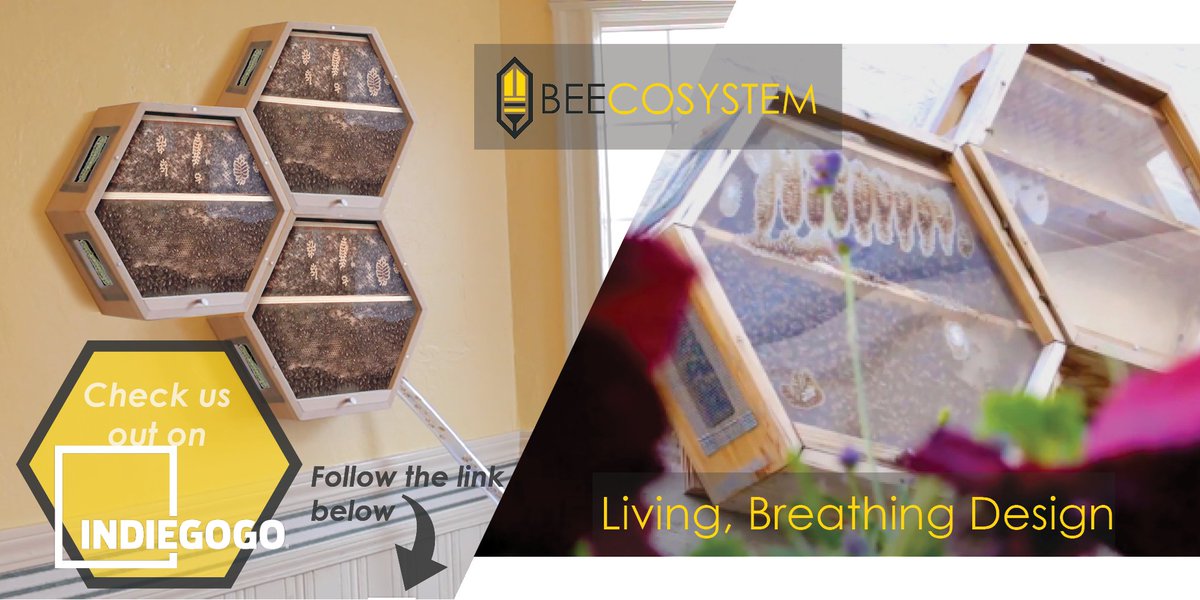Back from the tradeshow and ready to kick off the 2018 season with discounted prices on our hives!
igg.me/at/beecosystem