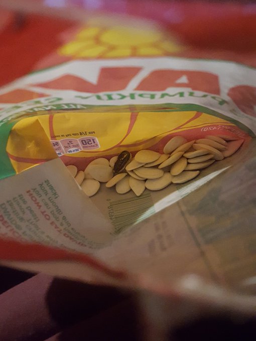 Yo @Davidseeds what the fresh hell is a sunflower seed doing in my pure and innocent bag of pumpkin seeds<a class="tags" target="_blank" title="On Twitter" href="/?out=eyJ0eXAiOiJKV1QiLCJhbGciOiJIUzUxMiJ9.eyJpYXQiOjE3MjE5MjY0MTIsImlzcyI6InR3cG9ybnN0YXJzLmNvbSIsIm5iZiI6MTcyMTkyNjQxMiwiZXhwIjoxNzUzNDYyNDEyLCJyZWRpcmVjdF91cmwiOiJodHRwczovL3R3aXR0ZXIuY29tL0Rhdmlkc2VlZHMifQ.EmYwQVuJsdZshyDaNzMiPCYE5THU7vG8AUivI0zWbeZ1qjllvi7pLfdB186CK3G1e4YTIA5oq2TZO9XOCo-hMg">@Davidseeds</a><a href="/tag/daddy"class="tags"><span>#daddy</span></a>
