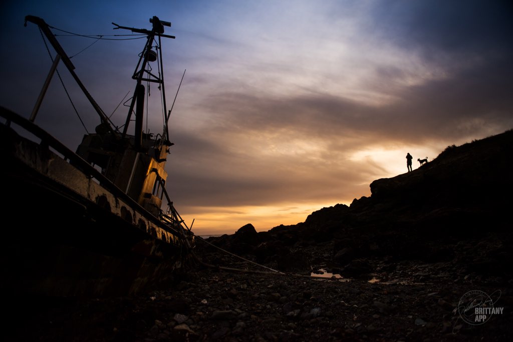 BrittanyApp's tweet photo. “‘It’s a dangerous business, Frodo, going out your door. You step onto the road, and if you don’t keep your feet, there’s no knowing where you might be swept off to.” - J.R.R Tolkien
#esterobluffs #cayucos #shareslo #slocal #optoutside #visitcalifornia @ShareSLO_ @VisitCA https://t.co/w7dxaj2spP