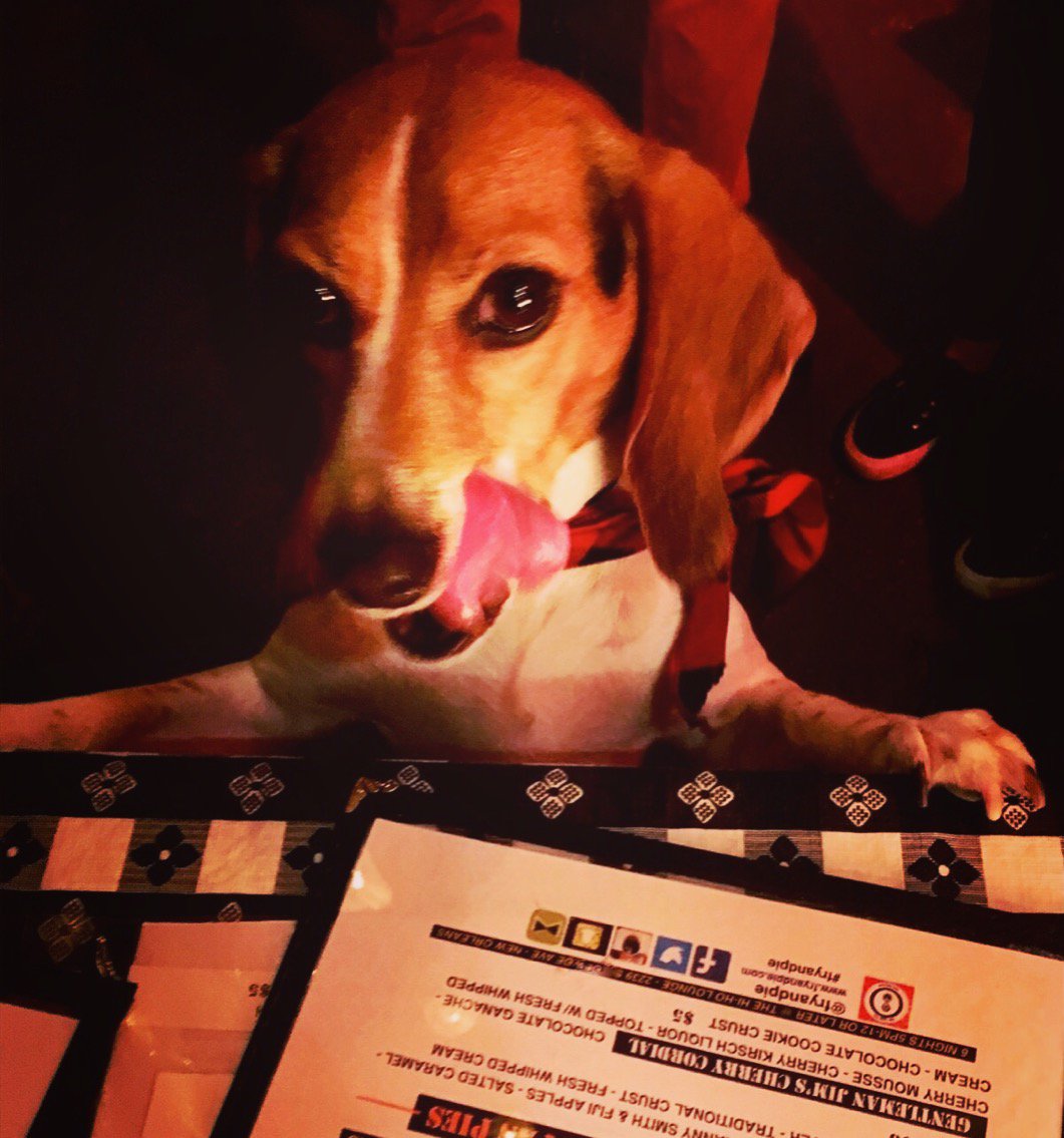 fryandpie's tweet image. "Jill the #Beagle" #CutInLine @fryandpie @HiHoNola #😋She's Ordering for her Parents Tonight. #Fries #Pies Open 6 Nights a Week #StClaudeAve at #MarignyStreet