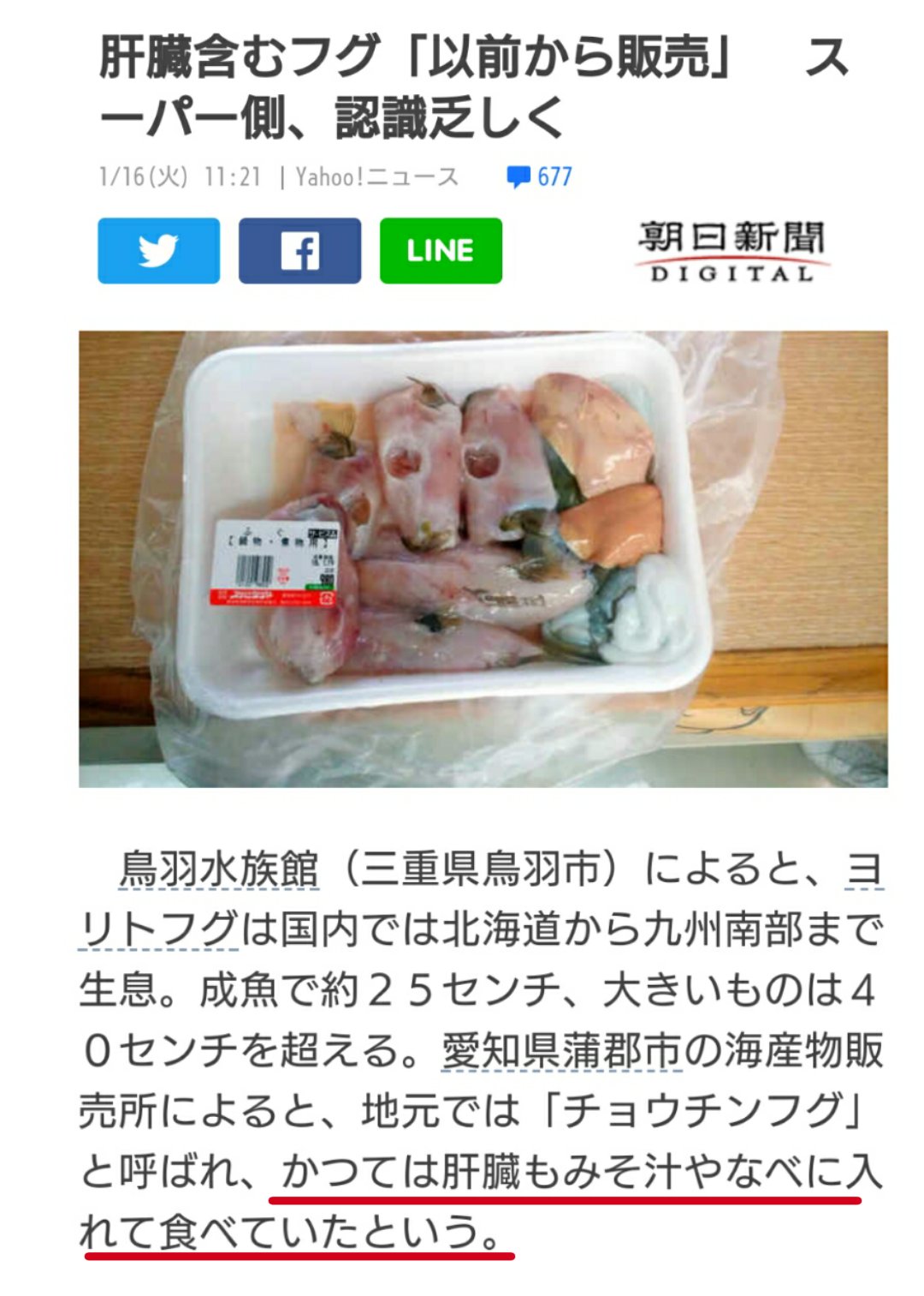 Twitter 上的 黒かどや 猛毒を販売したような報道だが地元では昔から肝は食されていたんでしょ 最近肝に有毒の個体が見つかって食用禁止になったようだか こうやって地域の食文化は消されていくんだよ 因みにカワハギも フグの仲間 フグ目 だからね なんでも禁止