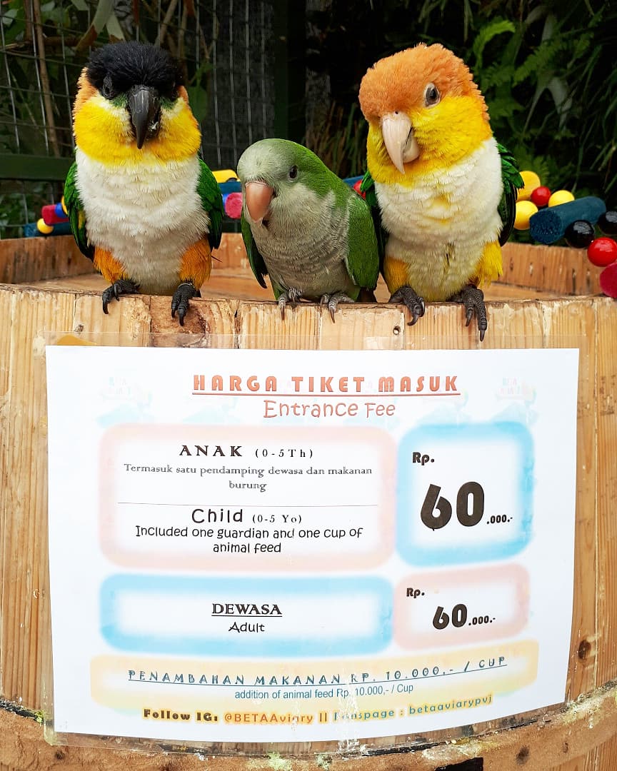 Paris Van Java Resort Lifestyle Place On Twitter Swipe Left