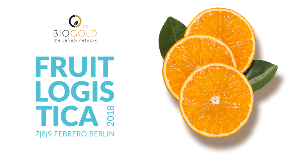 BIOGOLDEM's tweet photo. Nos vemos en #FruitLogistica #Fruitlogistica18 #biogoldem #variedadesprotegidas https://t.co/dJf5tBlr2N