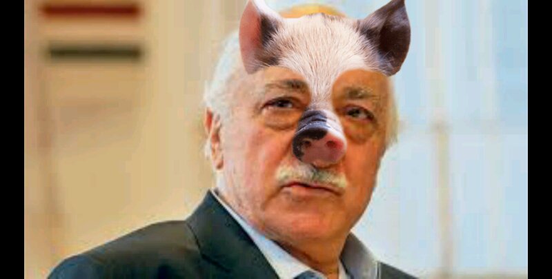 #DolarTL

En sevdiğim para birimi $.
1$ a hojama bile veririm.