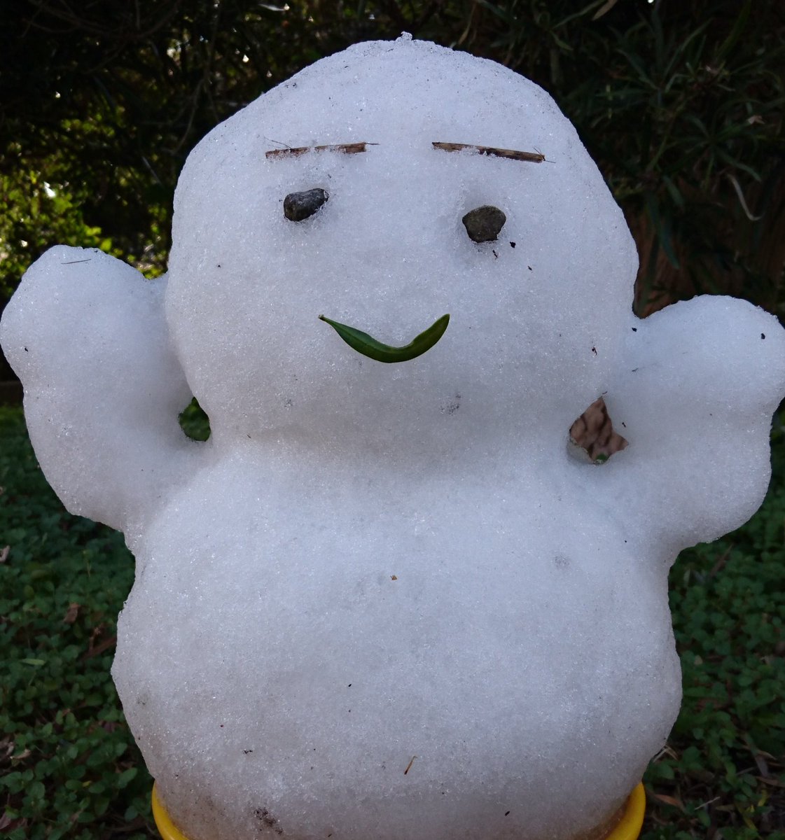 ドラえもんじゃない Twitter Search