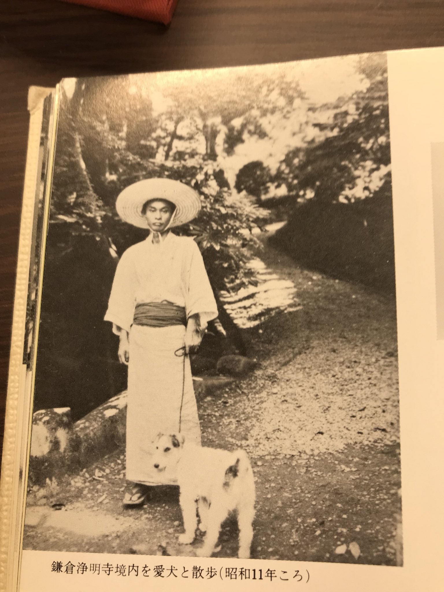 Gakio 新潮日本文学アルバムより 犬を抱っこする川端康成 犬と散歩する川端康成 やっぱり犬と散歩する川端康成 犬が好きすぎてついに5匹同時に抱いちゃう川端康成 Gakio 新潮日本文学アルバムより 犬を抱っこする川端康成 犬と散歩する川端康成 やっぱり犬と散歩する川端康成 犬が好きすぎてついに5匹同時に抱いちゃう川端康成