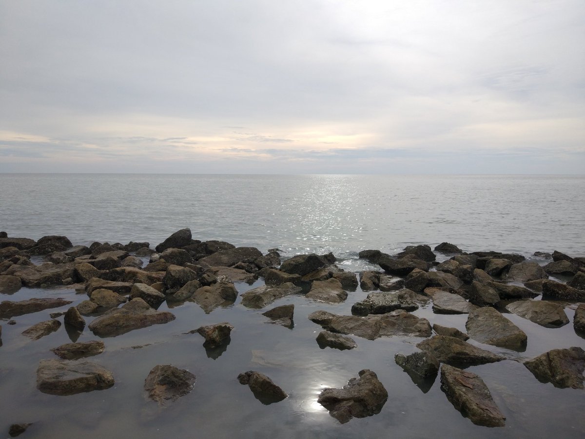 SyafiqiY's tweet image. 🏝️🏝️🏝️🏝️