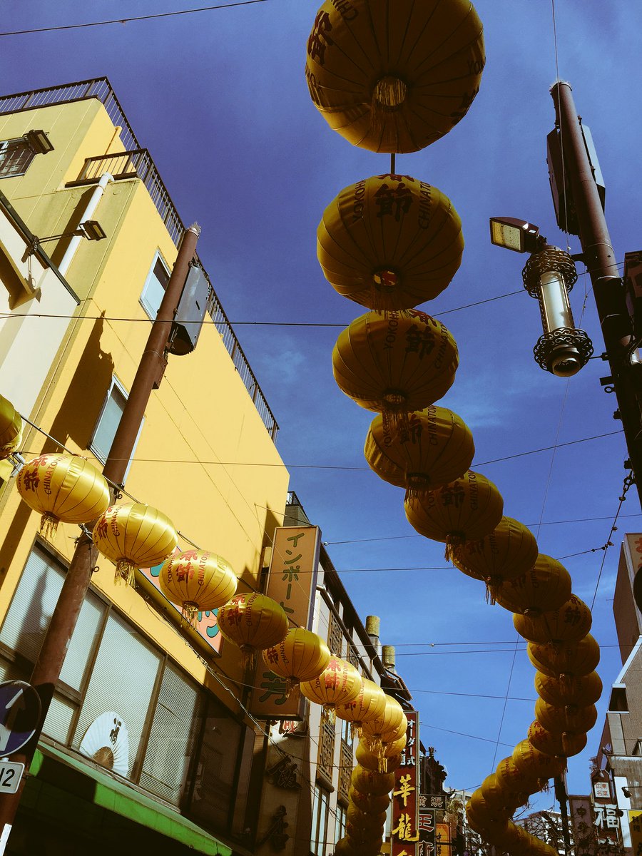 kouki_d_out's tweet image. 恒例の中華街徘徊！

なんか街がパンダ推しになってるなー笑

気をつけて来てね。