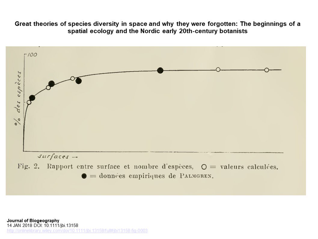 buy Kapitalfreisetzung durch rationelle Lagerhaltung