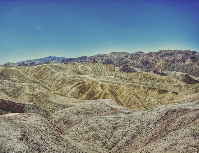 theDAZbox tweet media