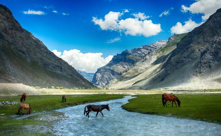 Here is the list of top 13 Destinations in India Lying in the Lap of Nature

Explore more: goo.gl/a6Ew5s

#PlacesToVisit #IndiaTour #DestinationsInIndia
