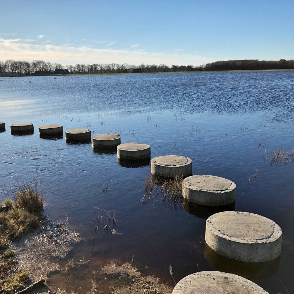 BCDwingeldervld's tweet photo. Struin je zaterdag mee in het #Dwingelderveld? #laarzenexcursie #natteheide. Aanmelden: https://t.co/qnJGQQZY1h https://t.co/akDuT8KFTQ