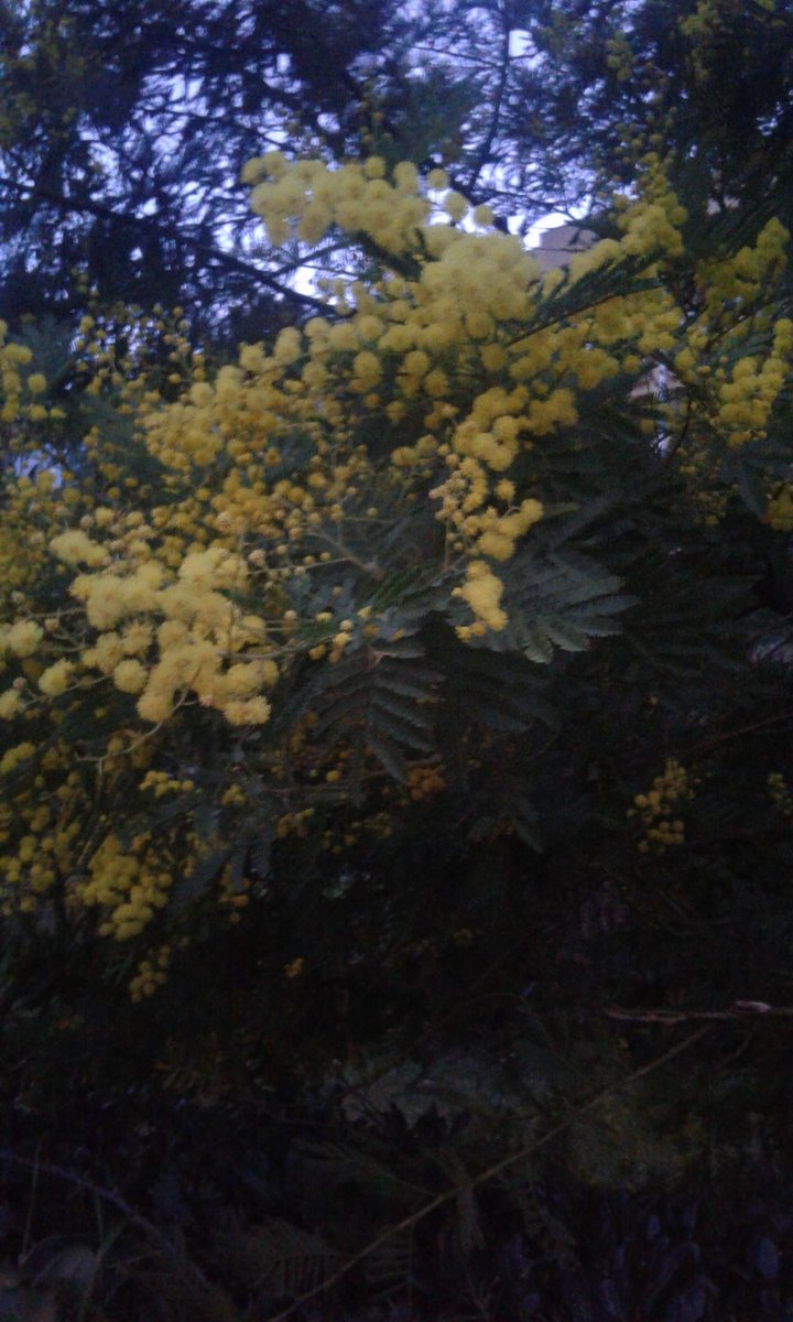 bientôt le printemps