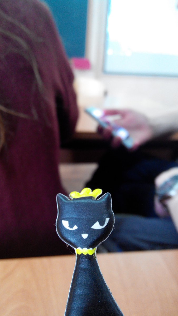 __zinna__'s tweet photo. Котюшка в открытом космосе https://t.co/twxzdbszfZ