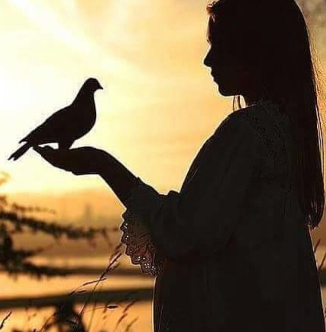 Nasıl etmeli de ağlayabilmeli,
Ayıpsız,
Aşikare,
Yağmur misali?

Nazım Hikmet

Günaydın 🎈