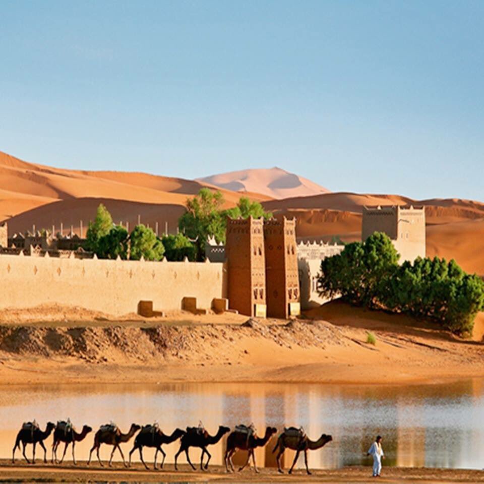 MarruecosTotal's tweet photo. Hello welcome with us in the desert of Morocco!
#desert #Morocco #travel #tour 
https://t.co/Qbk9HZYapG https://t.co/N4wPMKqWo3