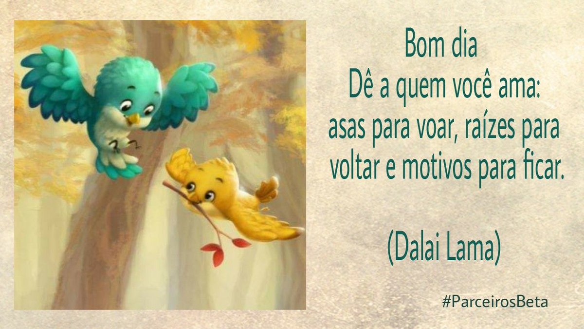 #ParceirosBeta 
BOM DIA