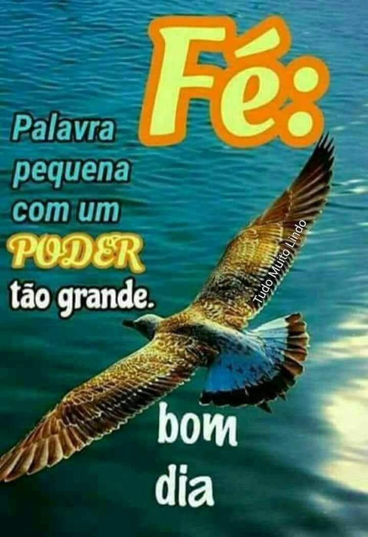 Geraldo M. Camargos (@camargosmoreira) on Twitter photo 