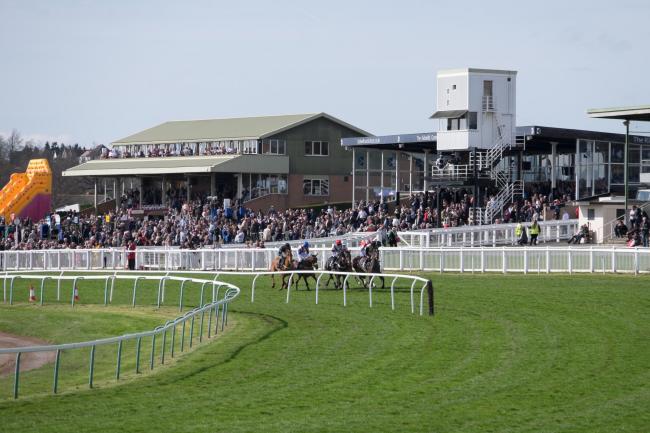 FreeRacingTips_'s tweet image. Today&apos;s NAP Tip is - Portrush Ted in the at 4.10 - Hereford dld.bz/FreeRacingTips