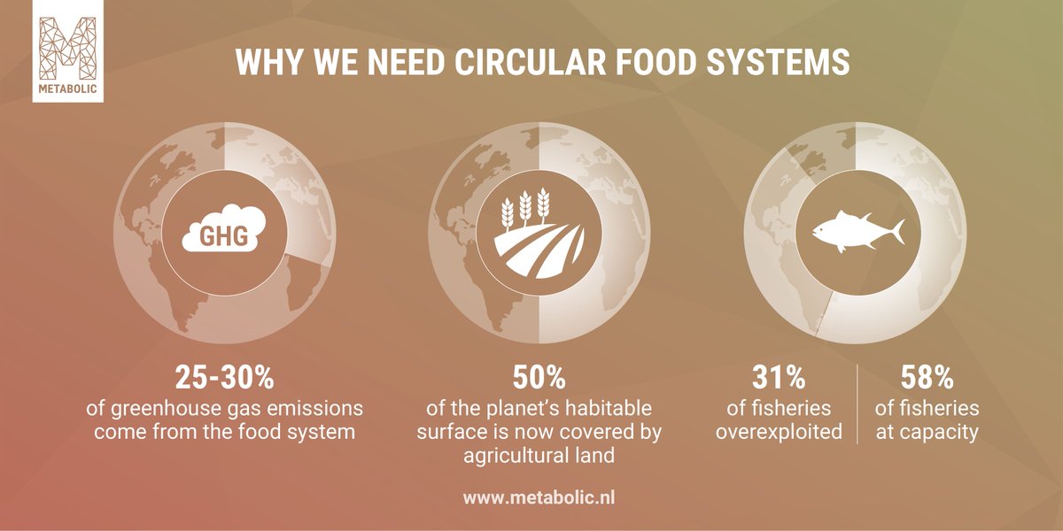 MetabolicHQ's tweet photo. The food system is the main driver behind biodiversity loss through its impacts on climate change, habitat loss &amp; wildlife extraction. We can significantly reduce these impacts with a #circulareconomy #WeekvandeCE #sustainability https://t.co/2pKRDWAZ2Q