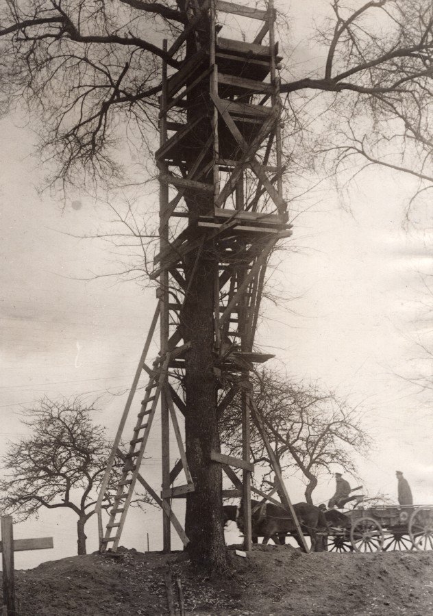 bitsofourpast's tweet photo. France WWI British Western Front Observation Post Tree 1914-1918 https://t.co/aUkv06IbNF #France #WW1 #Britis
h #Observationpost #Photography https://t.co/YQ0YuUOas7