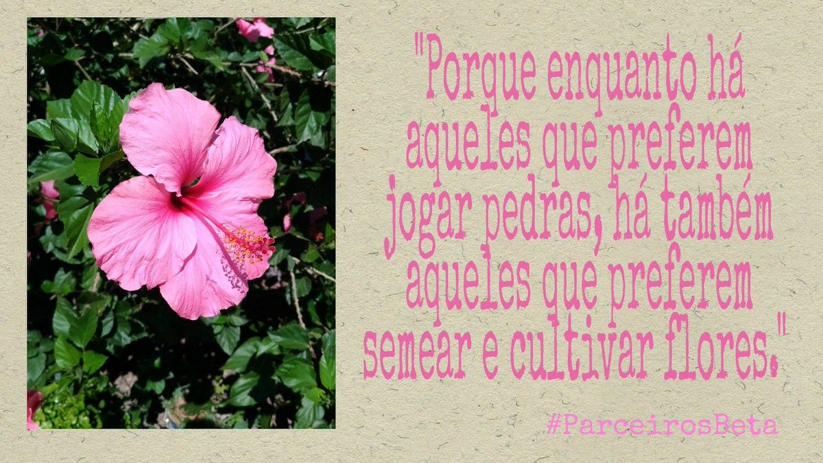 Najara Rodrigues (@rnajara) on Twitter photo 