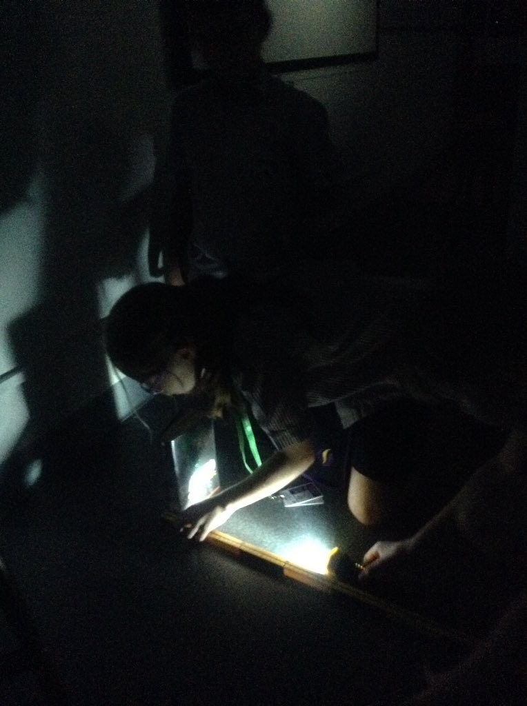 Year6_SBS's tweet photo. Investigating materials and the shadows they create. Close monitoring of our variables to help us get fair results! #sbsscience π¦ https://t.co/uWGT4oXX9P
