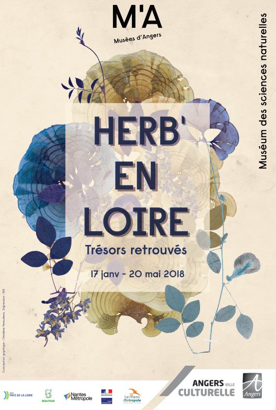 Museesdangers's tweet photo. [#Expo] Ouverture le 17 janvier d'HerbEnLoire au Muséum d'#Angers! Un bel inventaire des #herbiers réalisé lors de l'opération #eRecolnat #collaboratif https://t.co/kLsJ3DCKsr