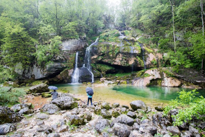 Slocally tweet media