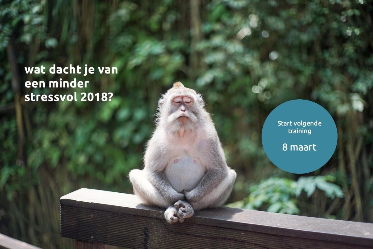 Goed plan toch?bananatree.nl/voor-jou/mindf… #mindfulness #meditatie #inspiratie #stressmanagement #eq #motivatie