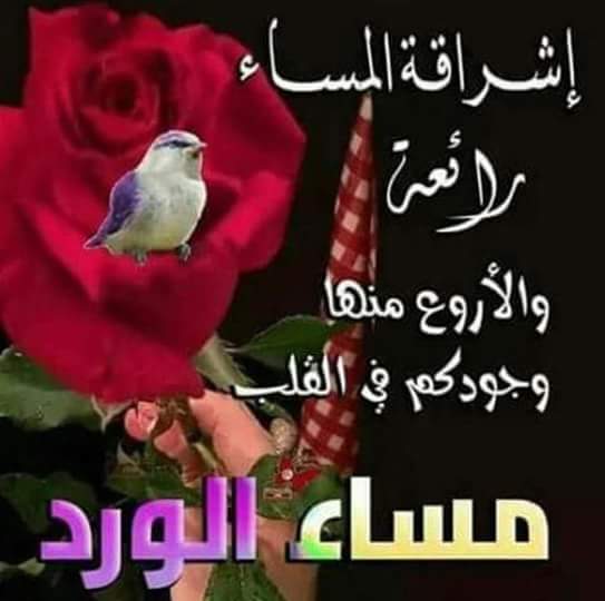 Lord Kamal🎩✒5 (@lordkamal51) on Twitter photo 