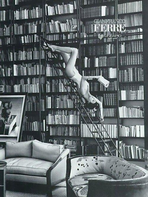 noveliciouss's tweet photo. A good library will never be too neat, or dusty.
Somebody will always be in it,
staying up late &
#reading
L Snicket https://t.co/0KbXowk1Wd