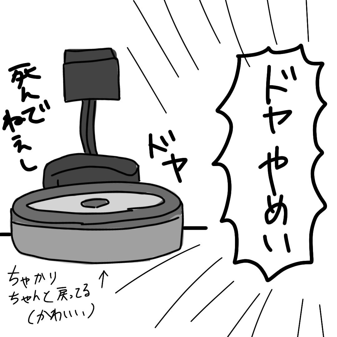 うちのルンバがかわいくて