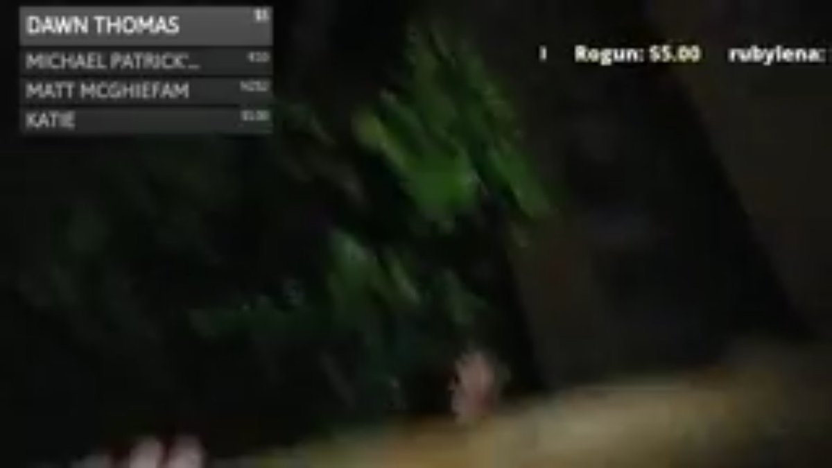 ChiAnn13's tweet photo. @JamesTheFAM After doll falls..* I screen shot this idk maybe someone can see what I see. Comment your thoughts. https://t.co/lVAEYykQfV