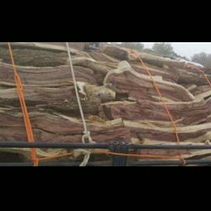 Ali25796602's tweet photo. لدينا اجود انواع الحطب محلي شلايخ سمر المدينه شحنة دينا مع توصيل لمنطقة الرياض القصيم الشرقيه لطلب ٠٥٥٢٦٥٣١٢٧بالاتصال او رسالة واتس اب https://t.co/xoFDbcyxP5