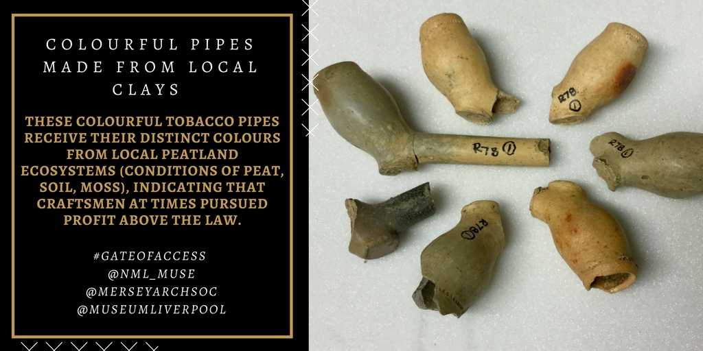 ERC_TIDE's tweet photo. Local pipes reveal early modern pipemaking industries in Liverpool, despite the monopoly of Westminster pipemakers @museumliverpool #tobacco #GATEOFACCESS https://t.co/novzC28nXp