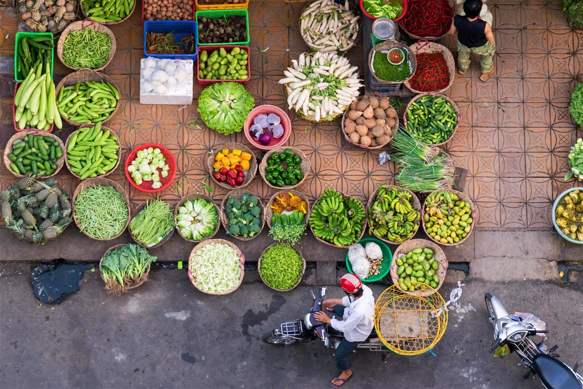 lonelyplanet's tweet photo. Going it alone: top trips for solo travel https://t.co/T5jCssmnjz #goingsolo https://t.co/5yrGAKtOi7