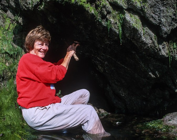 Yvonne Chamberlain, my PhD mentor, died peacefully last Friday.   This lovely woman served as Curator of Marine Algae at the Natural History Museum, London, from 1954-1962 and went on to have a major impact on coralline algal research #phycology #seaweed