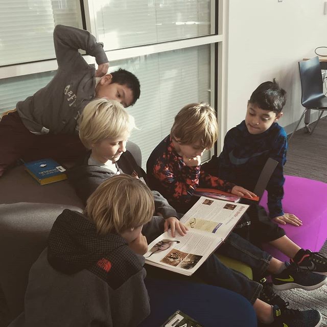 UP Elem Library tweet media