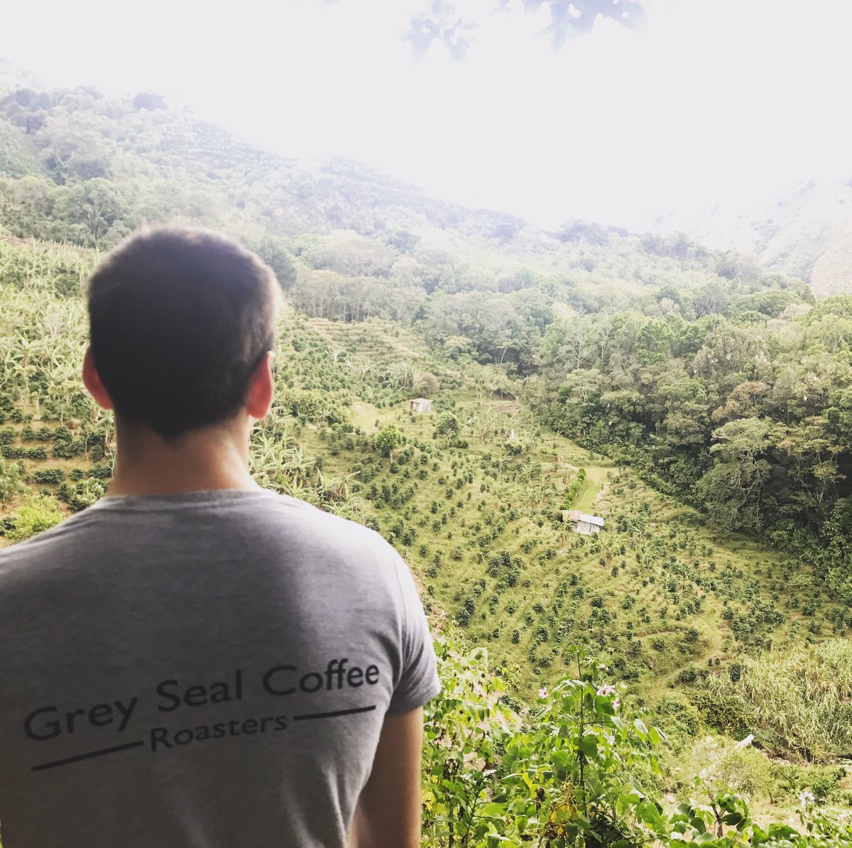 The Team are all back from their origins trip to Costa Rica to visit @coopedota_rl 🇨🇷🇨🇷keep a look out for their report about the visit.