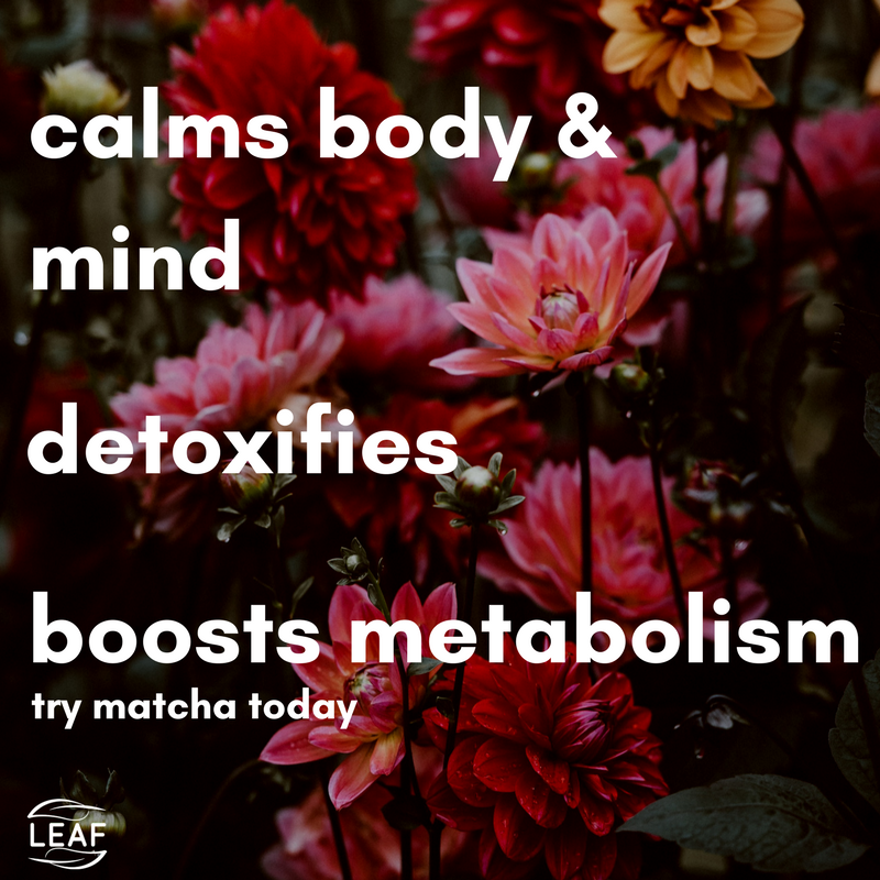 LeafteaIndia's tweet photo. What does Matcha does for you? This is what matcha can do for you!  #matchatea #matchateaindia #matchagreentea #matchapowder #matchamoment https://t.co/00M6uZVm00