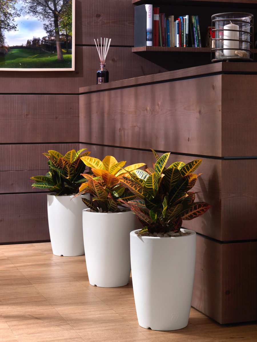 vecamericausa's tweet photo. #planter #fashion #beautiful #art #miamiflowers #miamiflorals #luxury #happy #nature #miamiorchids #outdoors #patio #backyard #patiodecor #garden #nursery https://t.co/FeGBvPRl4e