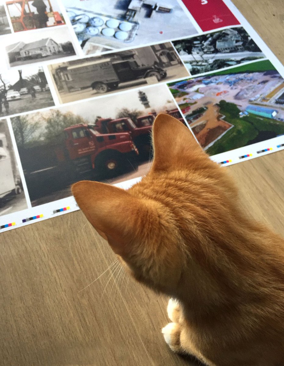 KKSKoers's tweet photo. Hoera! Na lang zwoegen is ons #jubileumboek bijna klaar 😀 Uiteraard wordt de #drukproef grondig bekeken en onderzocht voor het beste #resultaat! Lees hier meer over ons #boek: https://t.co/TGeg2TR2SO https://t.co/mruk9ESxes
